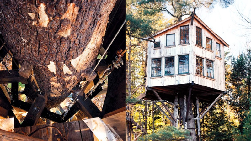 Illustration for article titled 13 Ingenious Treehouses That Go Out on a Limb